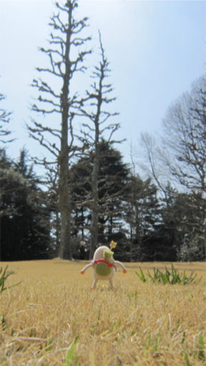 _sScreenshot 2013.06.07 19.57.15